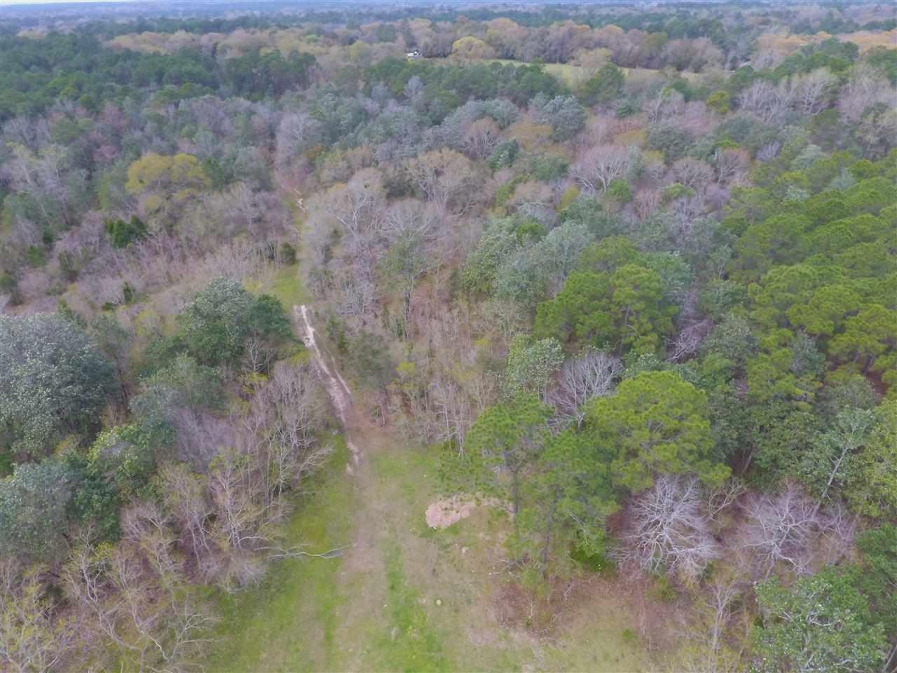 7900 Chellie Road Pensacola, FL 32526 - Photo 8 of 22 Gallery Image 8