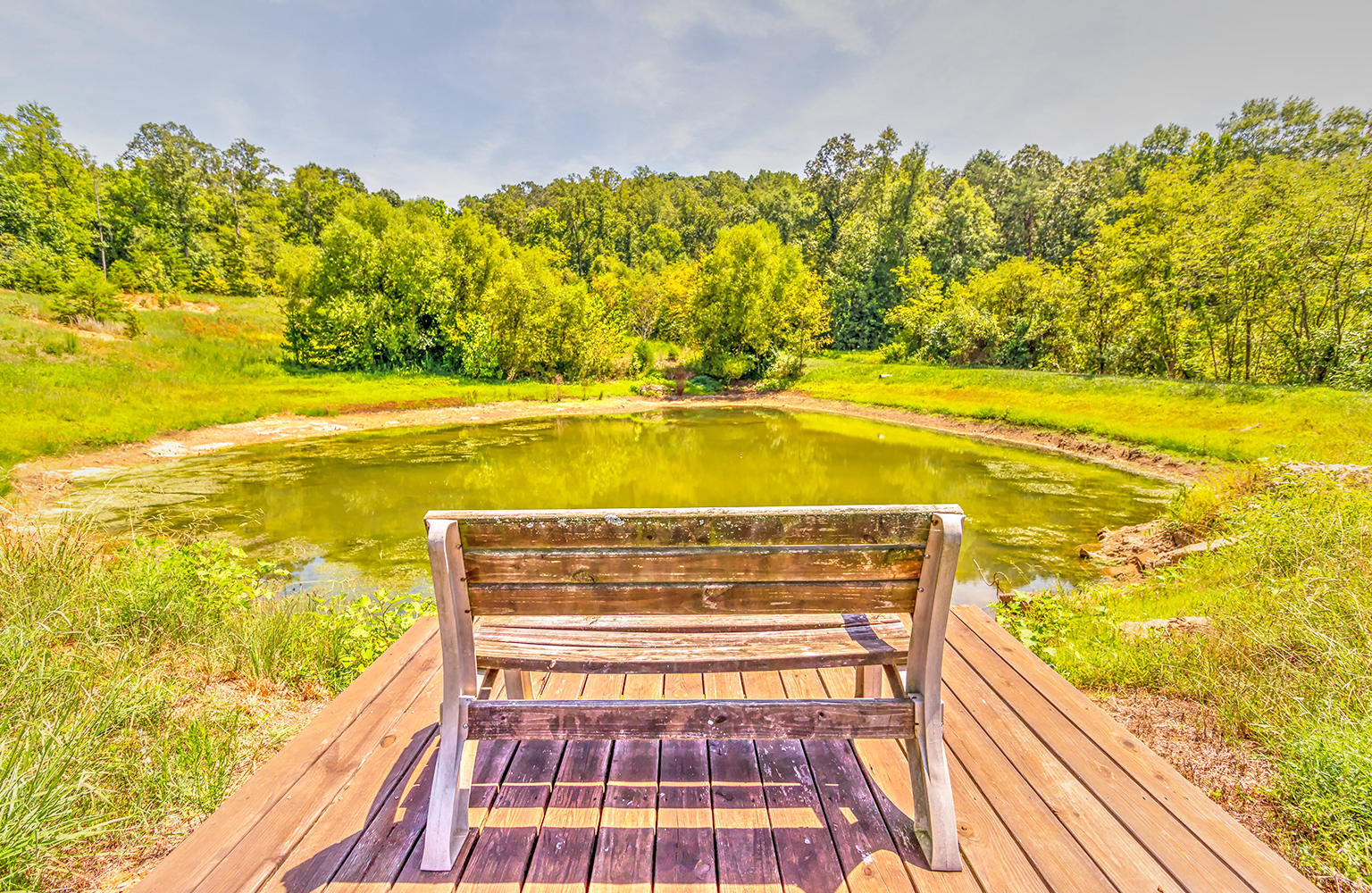 2074 Centerpoint Road Decatur, TN 37322 - Photo 13 of 40 Stocked Pond