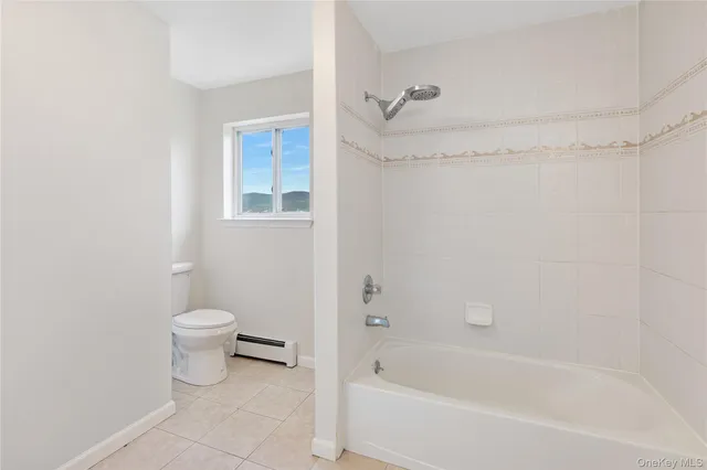 a bathroom with a toilet and a bathtub