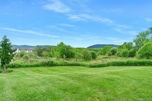a view of a green field with plants and large trees