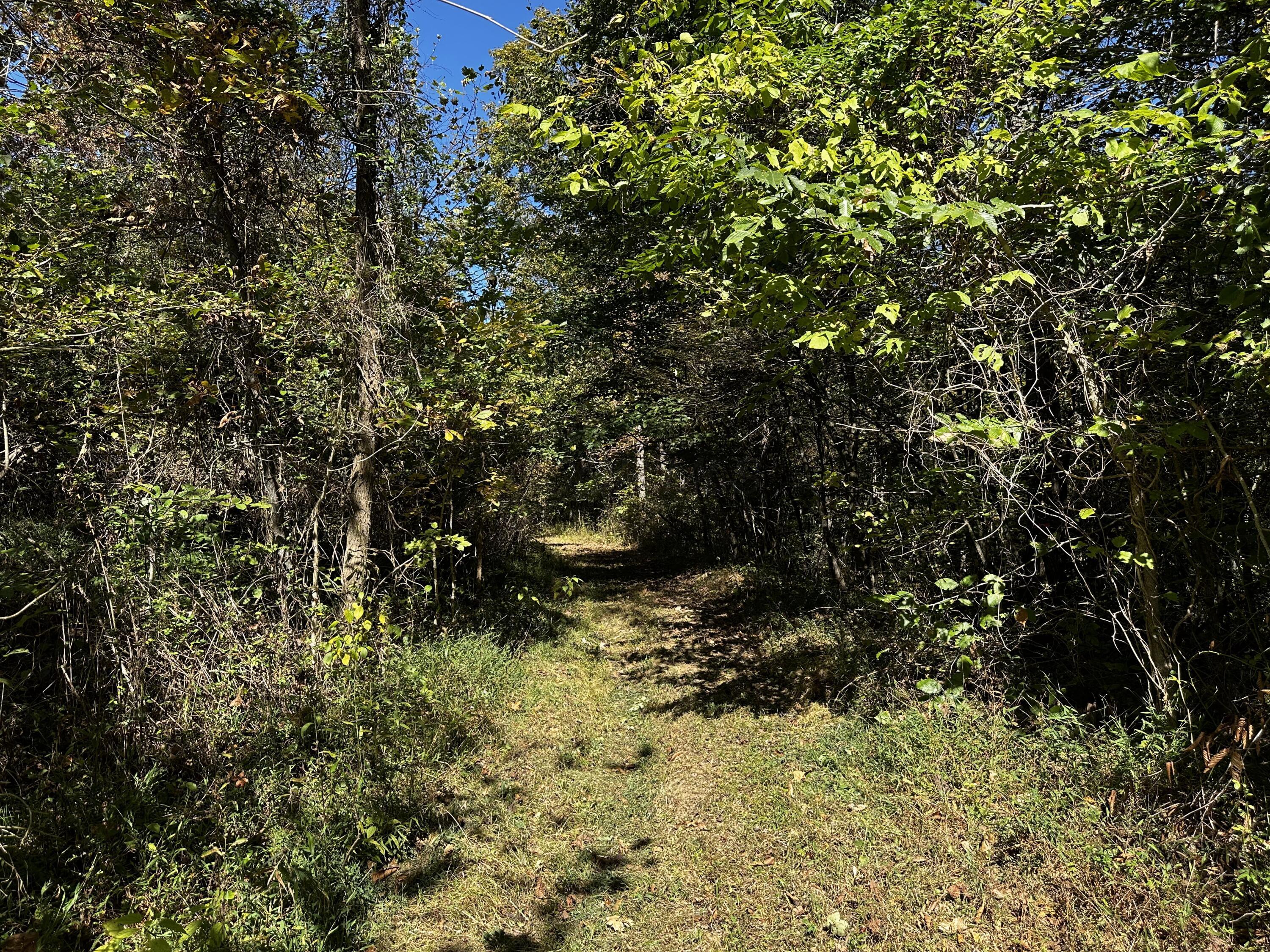 865 Hull Road, Unit TRACT 13 WOODS WAYNE FOREST) Patriot, OH 45658 - Photo 28 of 57 20241008_175250943_iOS