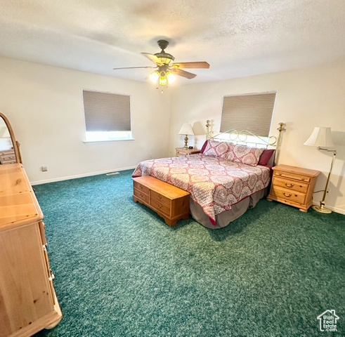 190 600 North Ferron, UT 84523 - Photo 29 of 85 Bedroom with carpet and a ceiling fan