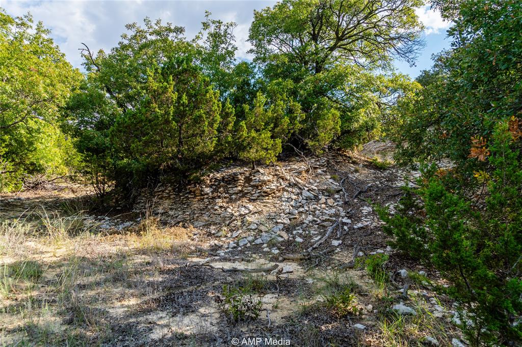 1982 Mountain Pass Merkel, TX 79536 - Photo 21 of 40 View of nature