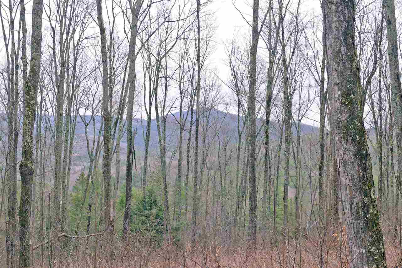 4455 S Road Bradford, VT 05033 - Photo 17 of 26