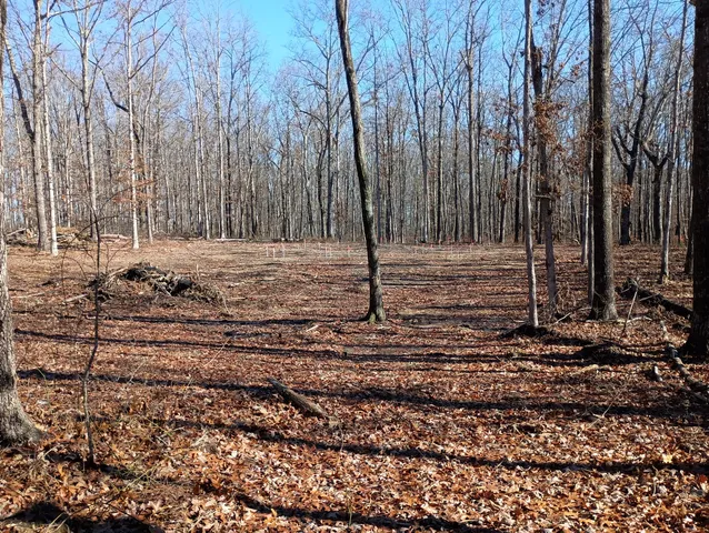 a view of a backyard of the house