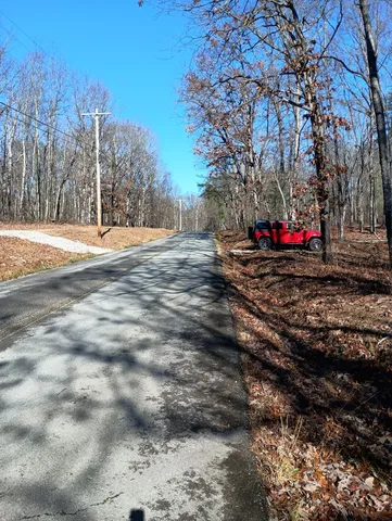 a view of a backyard with trees