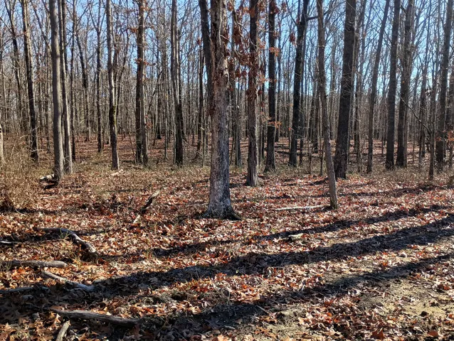 a view of outdoor space with trees