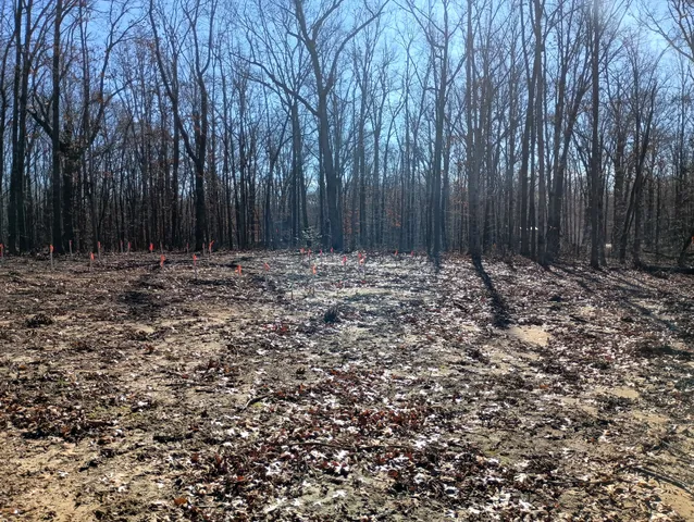 a backyard of a house with large trees and wooden fence