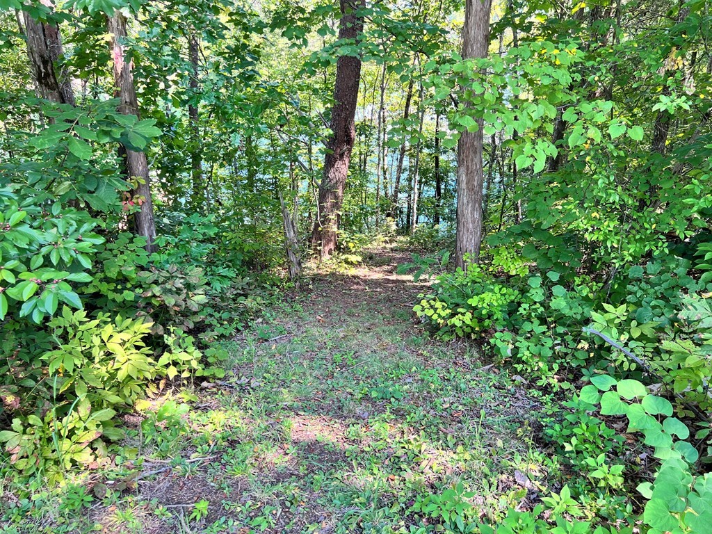 232425 Scott Street Sevierville, TN 37876 - Photo 14 of 34