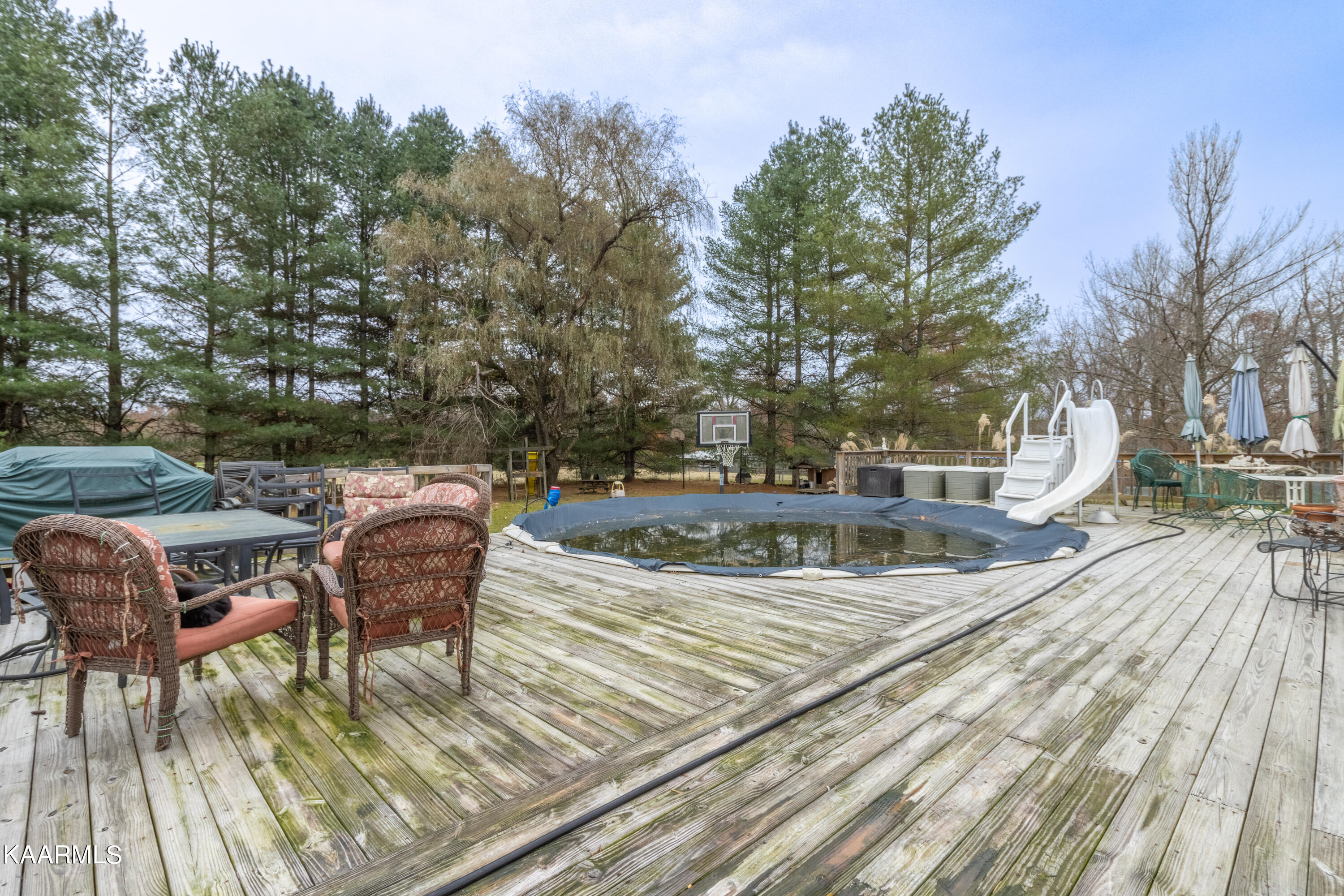 413 Hugh Jones Road Sunbright, TN 37872 - Photo 40 of 55 413 Hugh Jones Rd-43