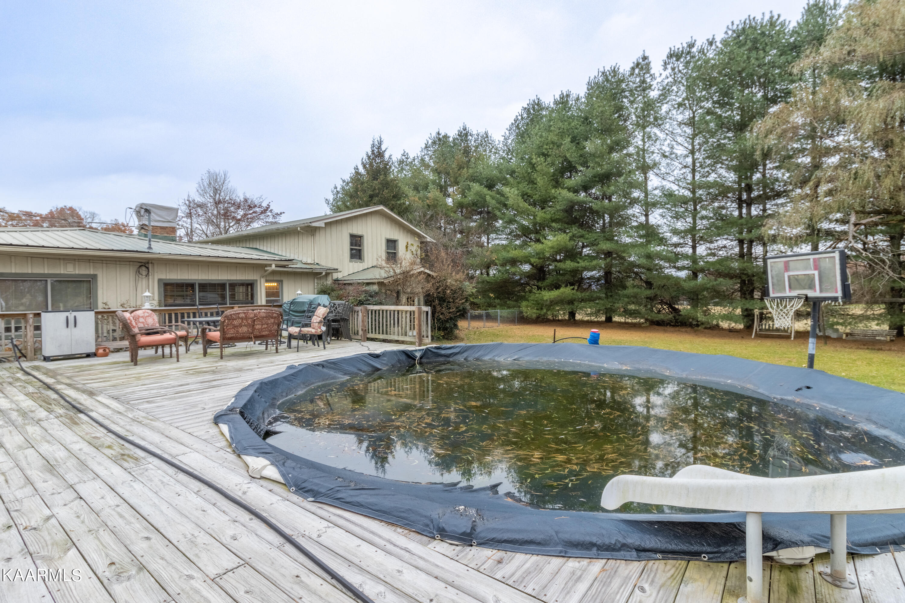 413 Hugh Jones Road Sunbright, TN 37872 - Photo 41 of 55 413 Hugh Jones Rd-44