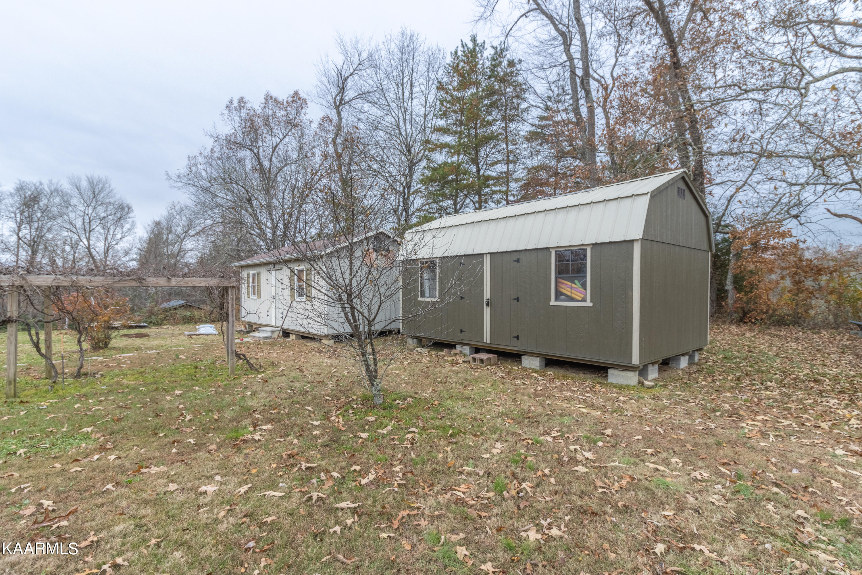 413 Hugh Jones Road Sunbright, TN 37872 - Photo 45 of 55 413 Hugh Jones Rd-51