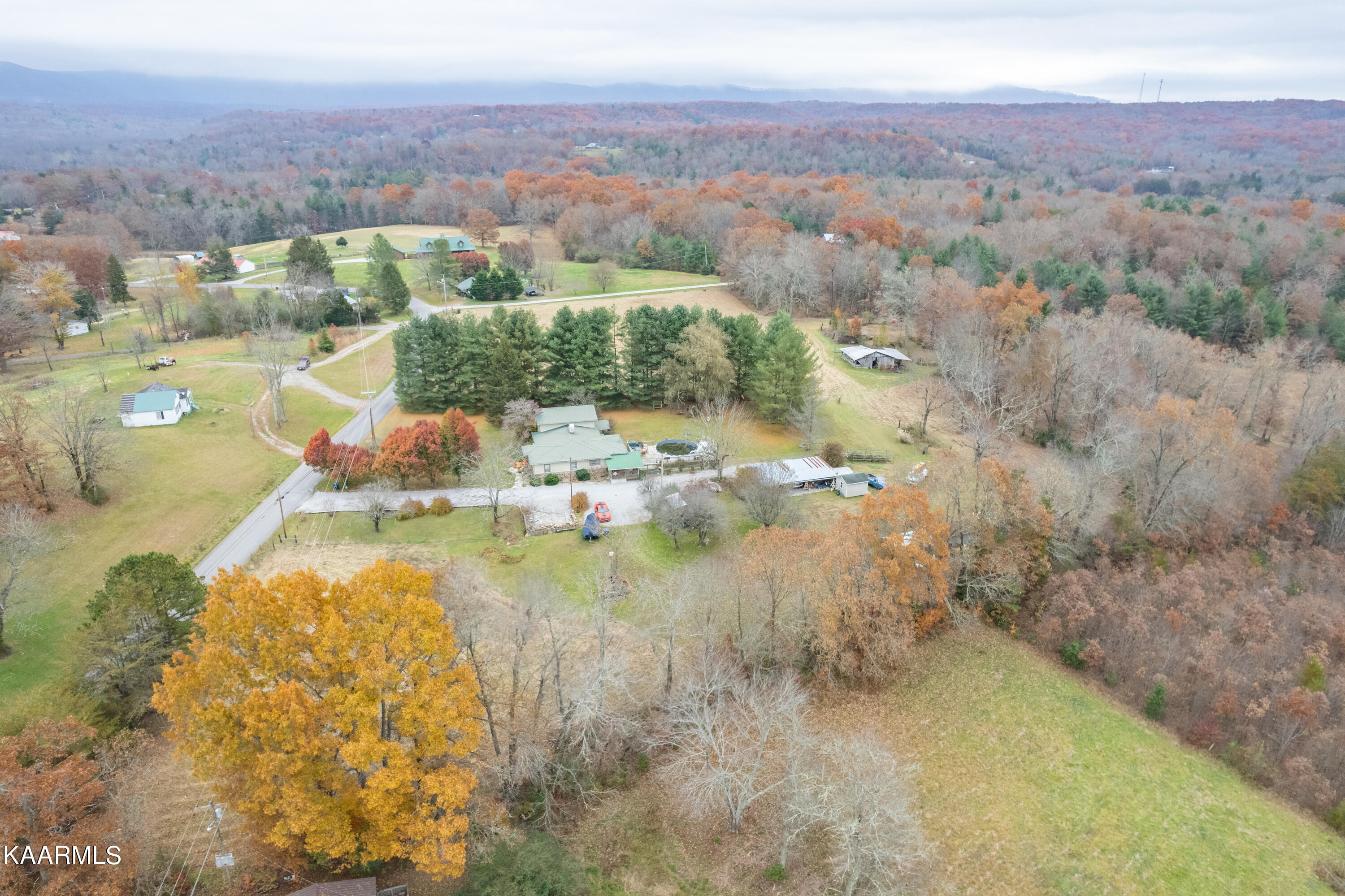 413 Hugh Jones Road Sunbright, TN 37872 - Photo 50 of 55 413 Hugh Jones Rd-58