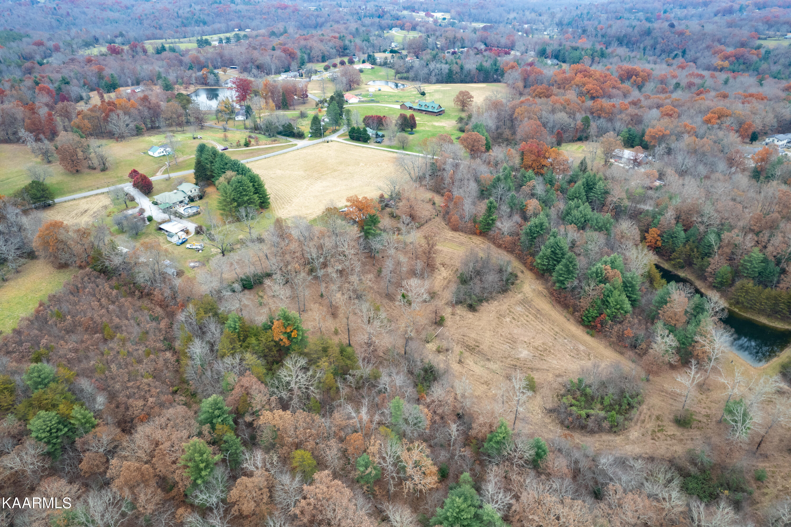 413 Hugh Jones Road Sunbright, TN 37872 - Photo 51 of 55 413 Hugh Jones Rd-59