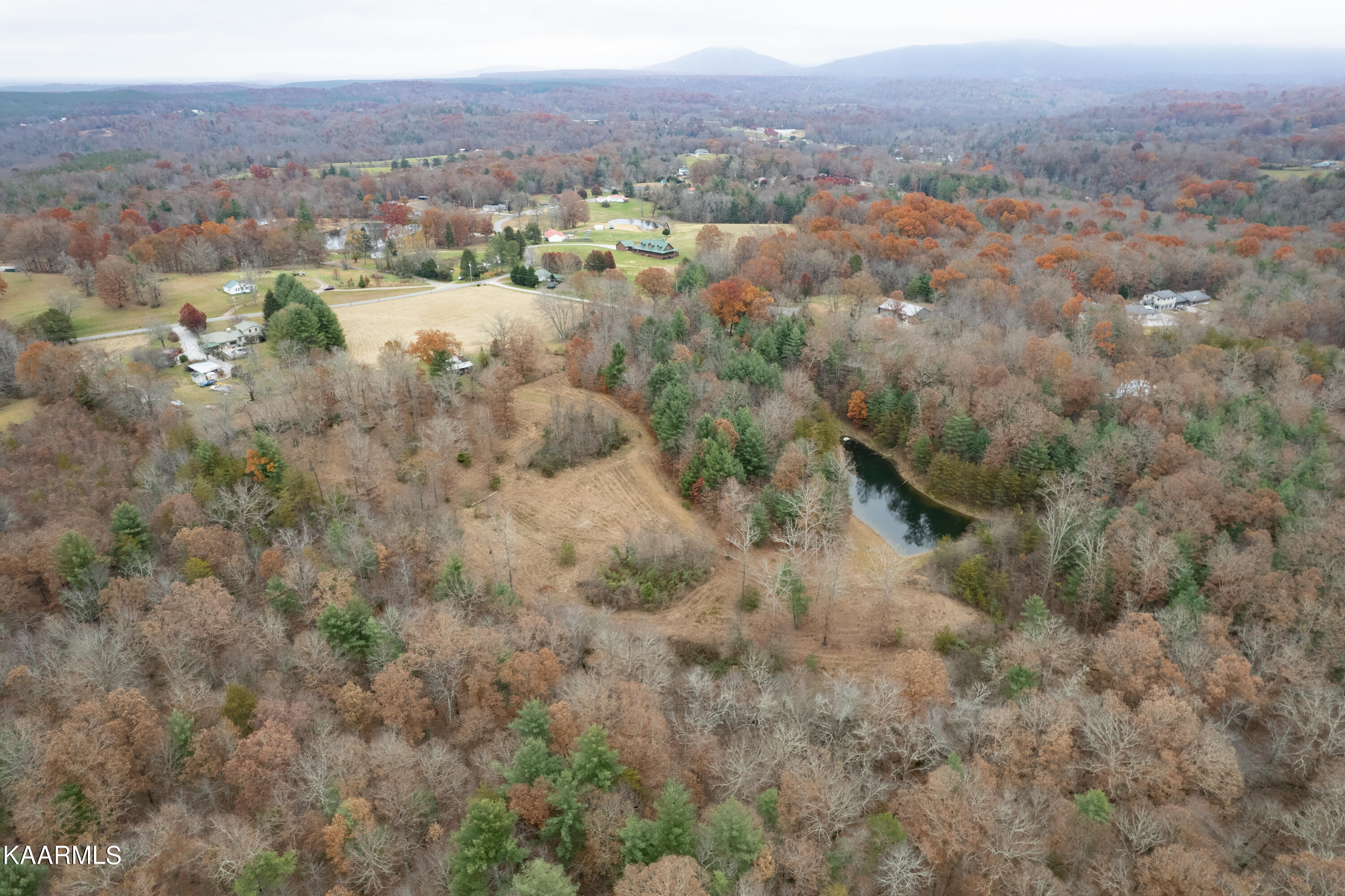 413 Hugh Jones Road Sunbright, TN 37872 - Photo 52 of 55 413 Hugh Jones Rd-60