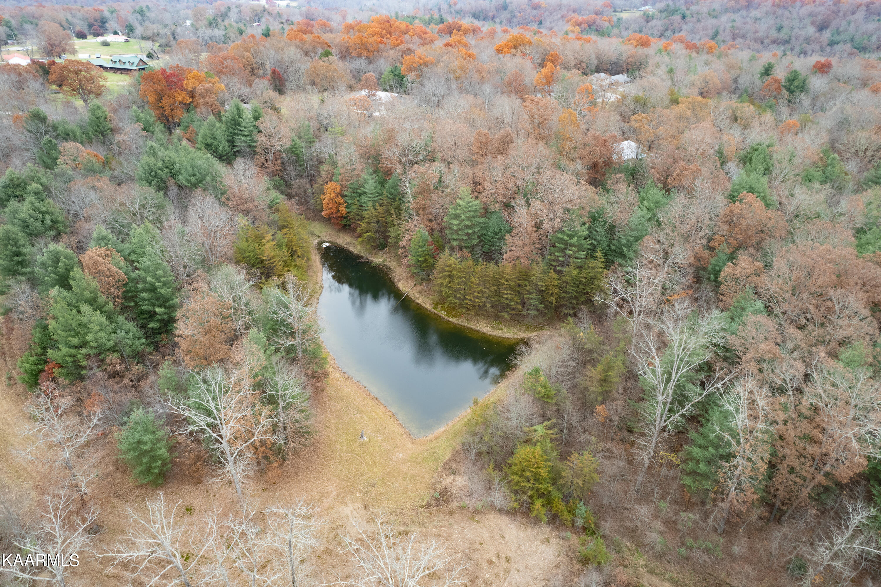 413 Hugh Jones Road Sunbright, TN 37872 - Photo 53 of 55 413 Hugh Jones Rd-63