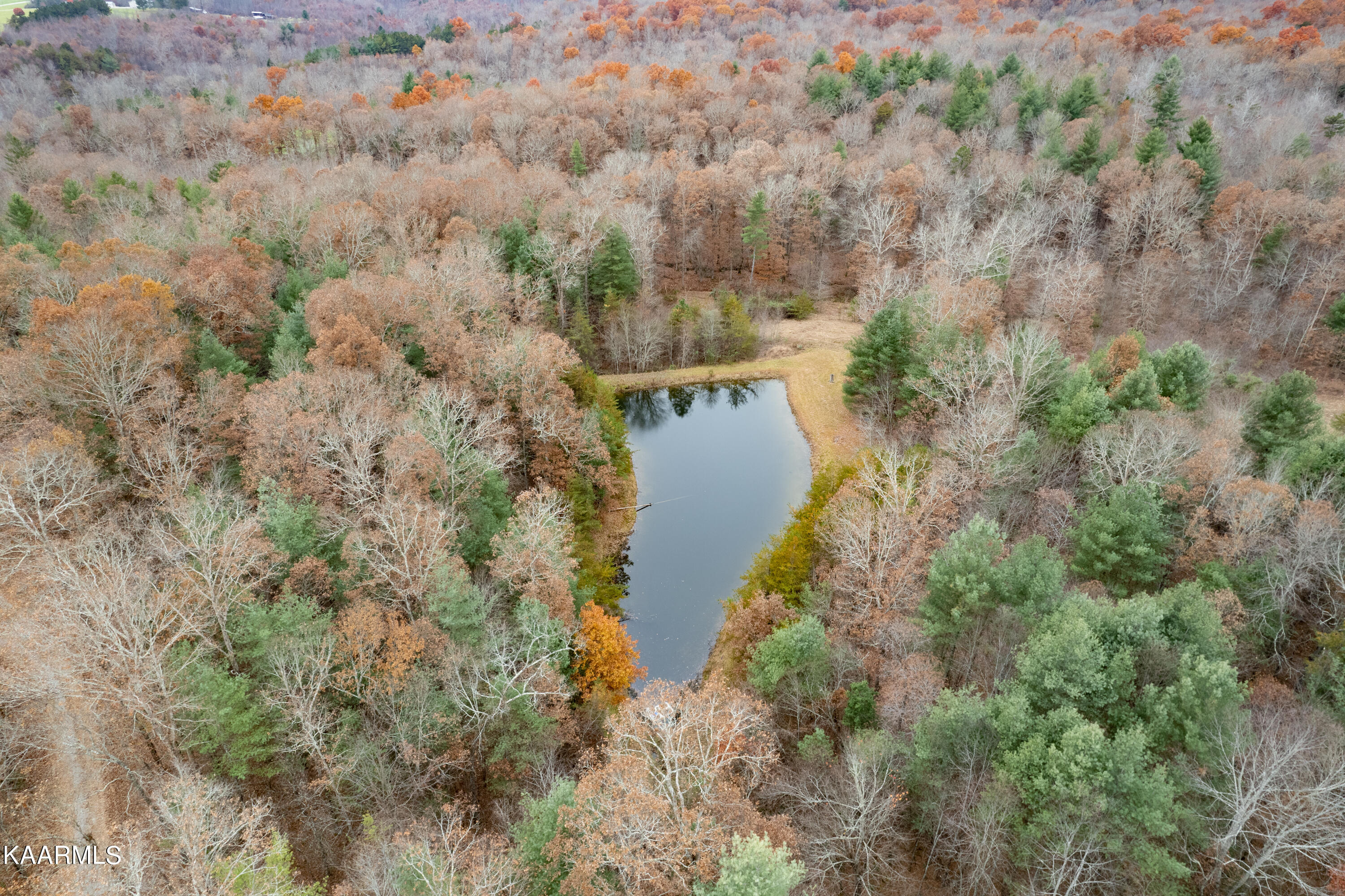 413 Hugh Jones Road Sunbright, TN 37872 - Photo 54 of 55 413 Hugh Jones Rd-64