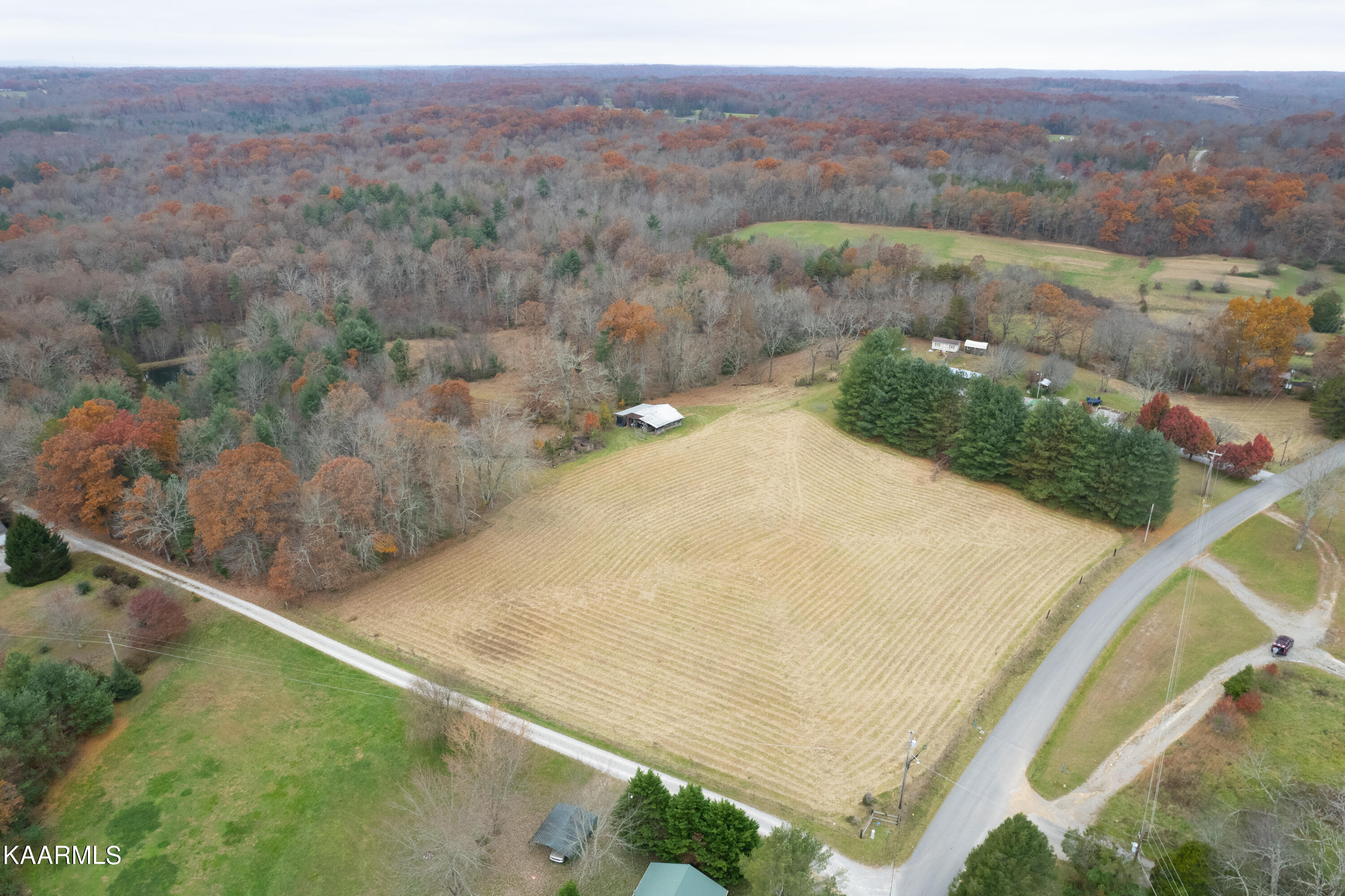 413 Hugh Jones Road Sunbright, TN 37872 - Photo 55 of 55 413 Hugh Jones Rd-68