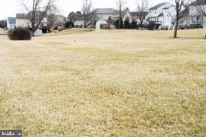 105 Hibiscus Court Lititz, PA 17543 - Photo 7 of 37