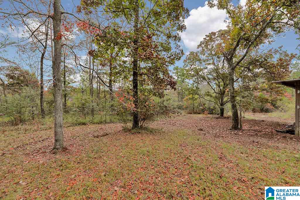 100 Mountain View Lane Springville, AL 35146 - Photo 25 of 30