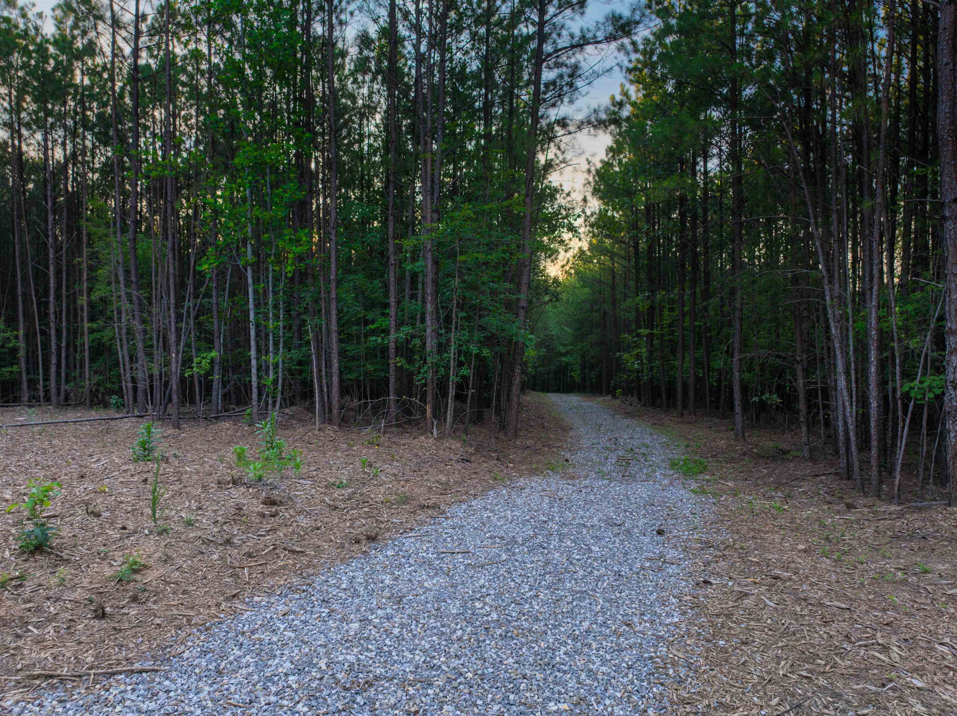 0 Mountain Cut Road Appomattox, VA 24522 - Photo 18 of 55 Gallery Image 18