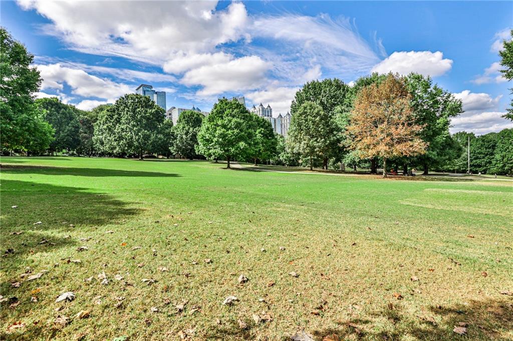 1100 Piedmont Avenue Northeast, Unit 6 Atlanta, GA 30309 - Photo 16 of 16 a view of a big yard with plants and large trees