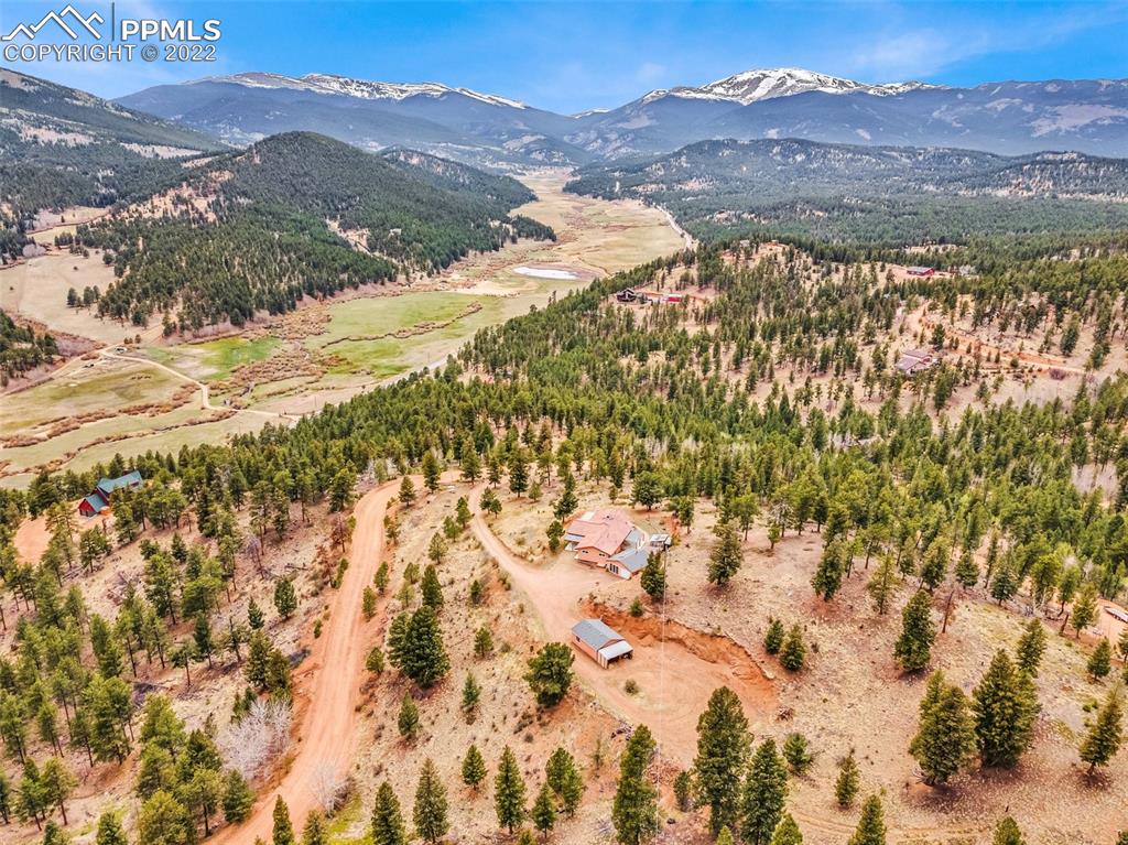 1500 Hitchrack Road Bailey, CO 80421 - Photo 35 of 43 a view of mountain with a forest