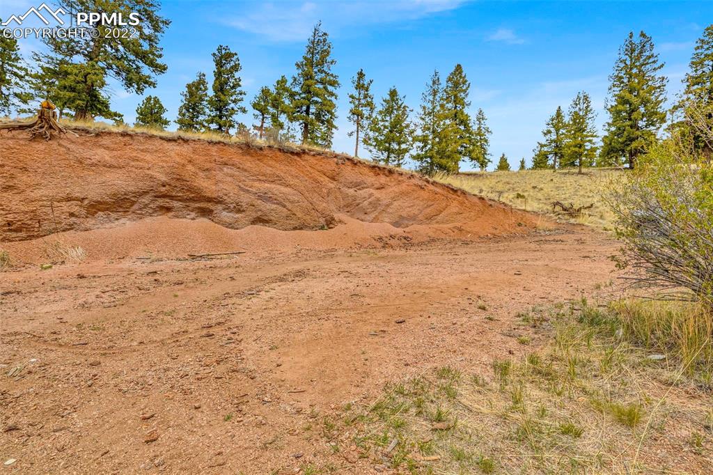 1500 Hitchrack Road Bailey, CO 80421 - Photo 41 of 43 a view of a yard with a tree
