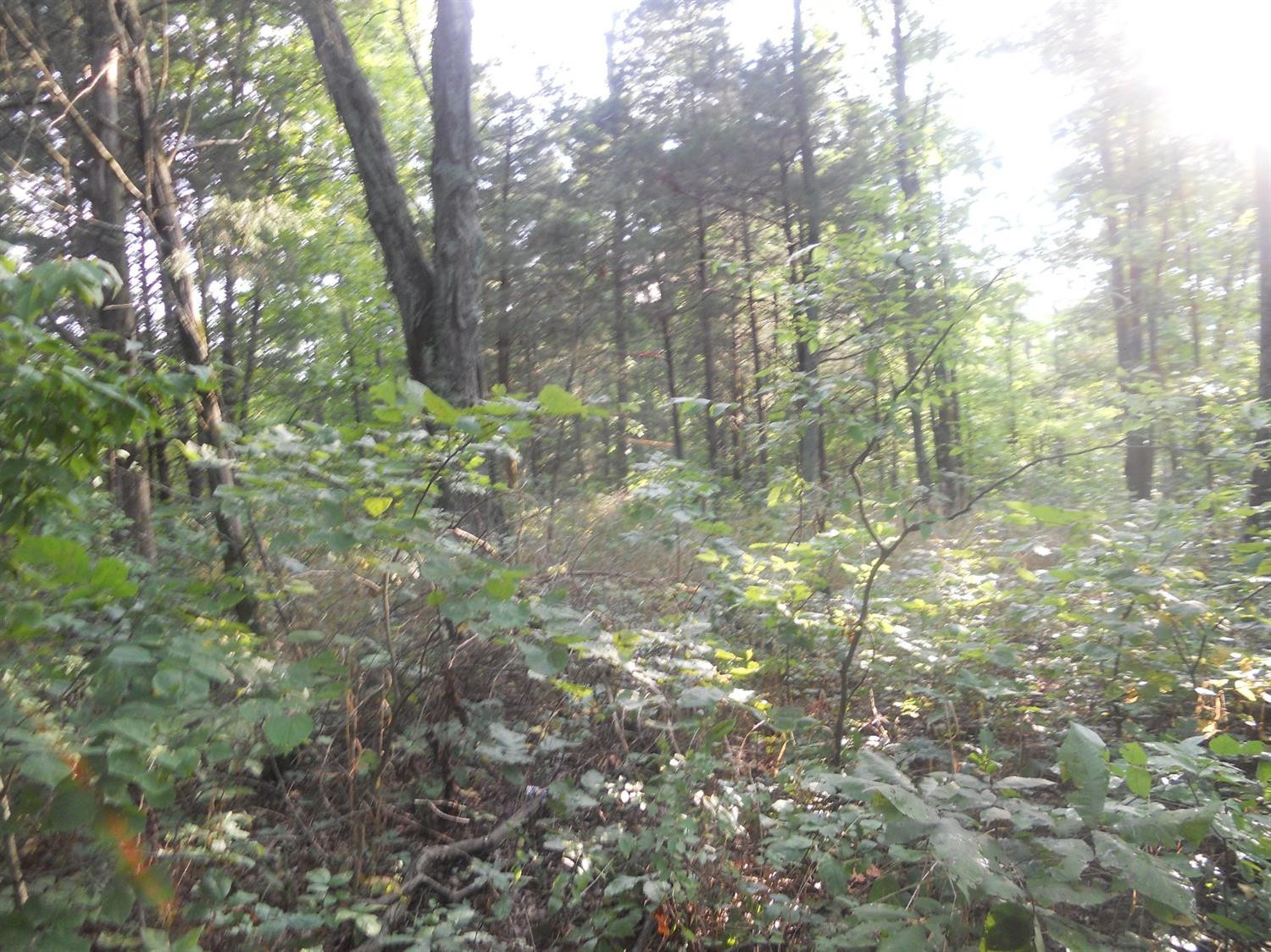 4164 Bardstown Road Lawrenceburg, KY 40342 - Photo 10 of 22 Photo 10