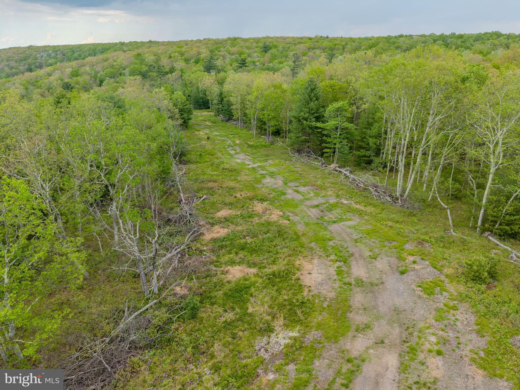 0 Cummins Hill Road Matamoras, PA 18336 - Photo 35 of 116
