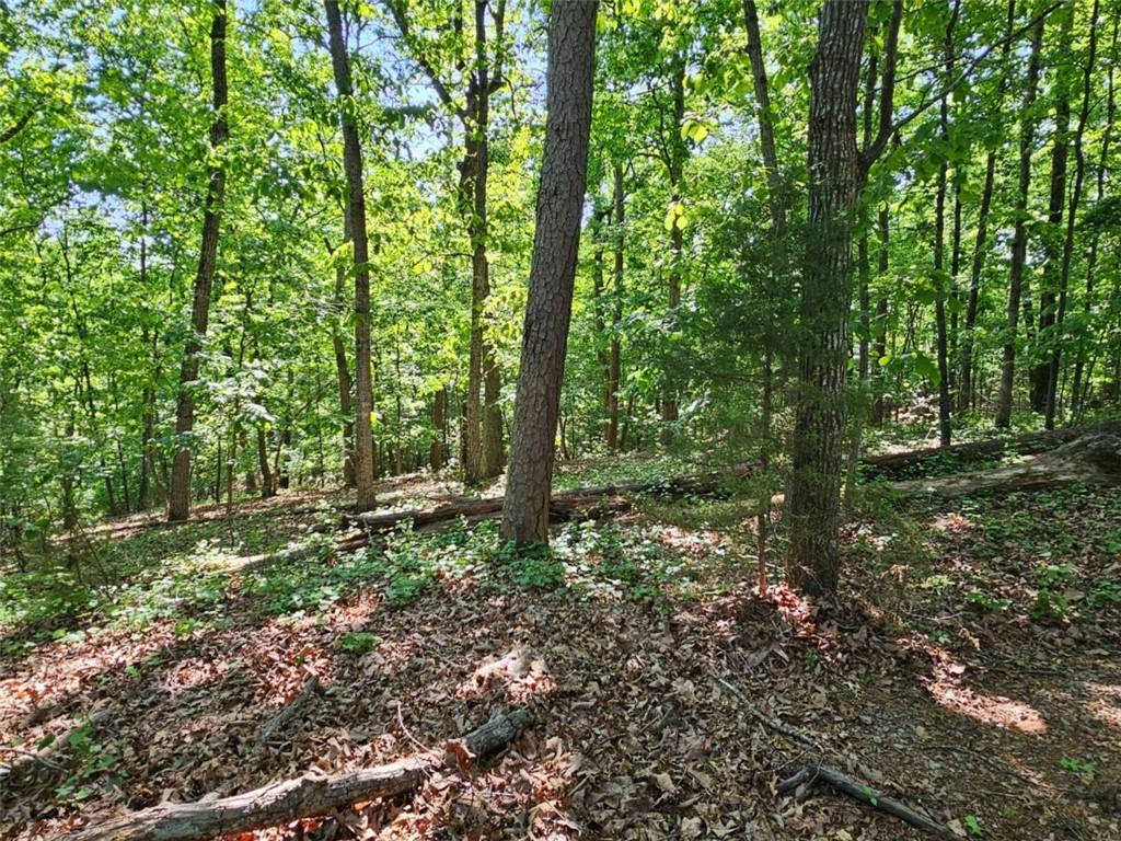 5510 Whitehall Road Lula, GA 30554 - Photo 7 of 7