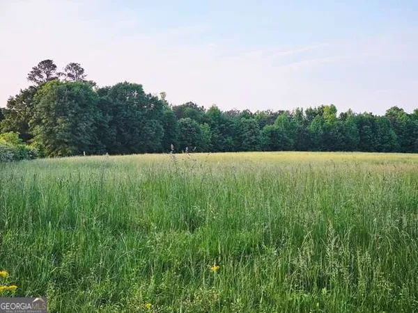 a view of an outdoor space and a yard
