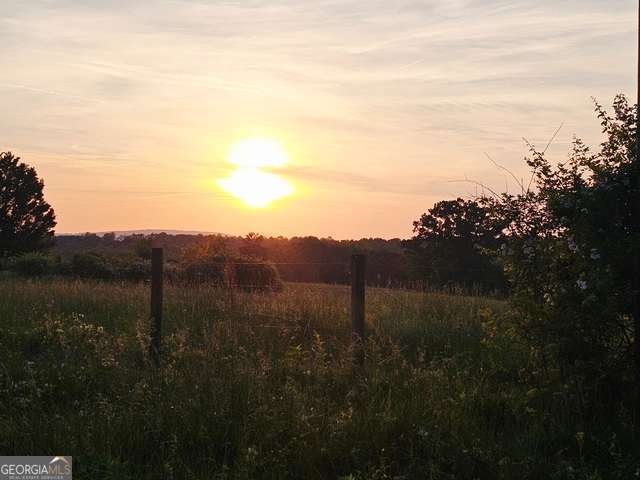 0 Welcome Road, Unit TRACT 3 Roopville, GA 30170 - Photo 4 of 5