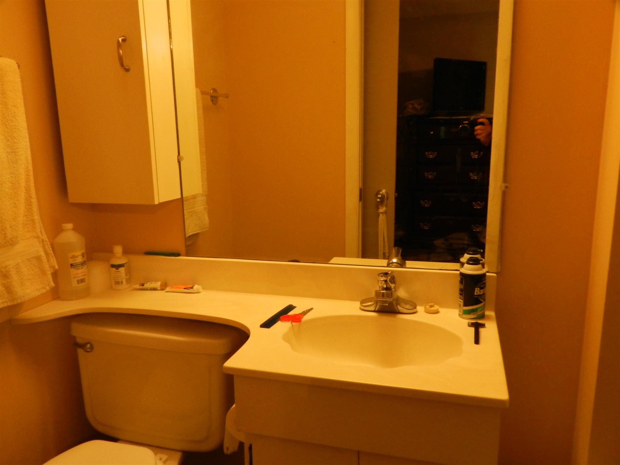 7107 Fernvale Road Fairview, TN 37062 - Photo 9 of 21 a bathroom with a sink and a mirror