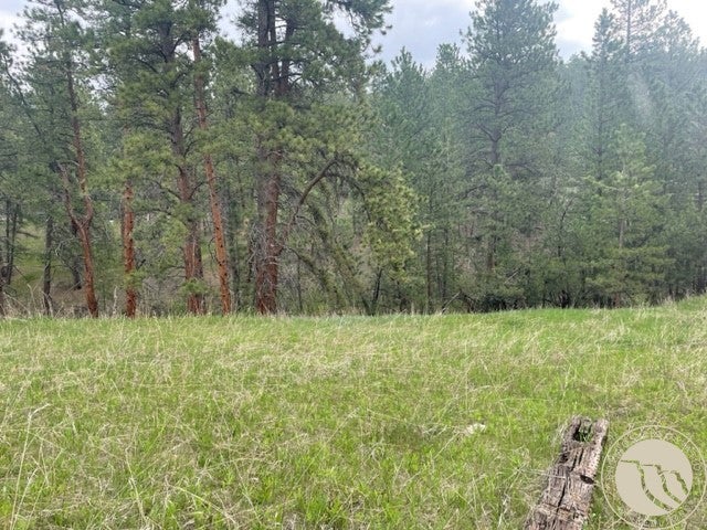 Lot 17 Skibstad Road Road Columbus, MT 59019 - Photo 12 of 28 Gallery Image 12