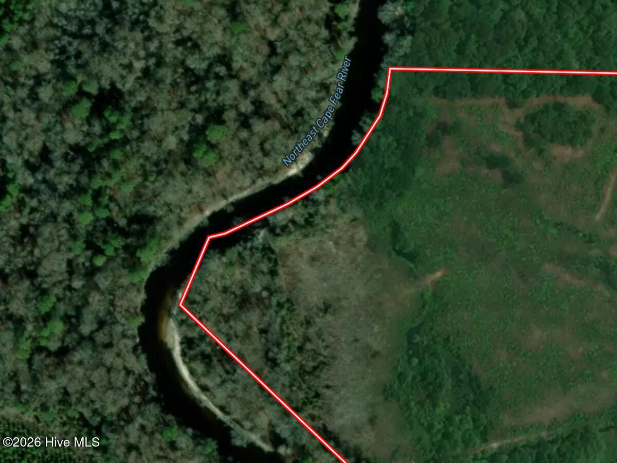 0 Durwood Evans Road Beulaville, NC 28518 - Photo 66 of 68 66. Boundary on Northeast Cape Fear Rive
