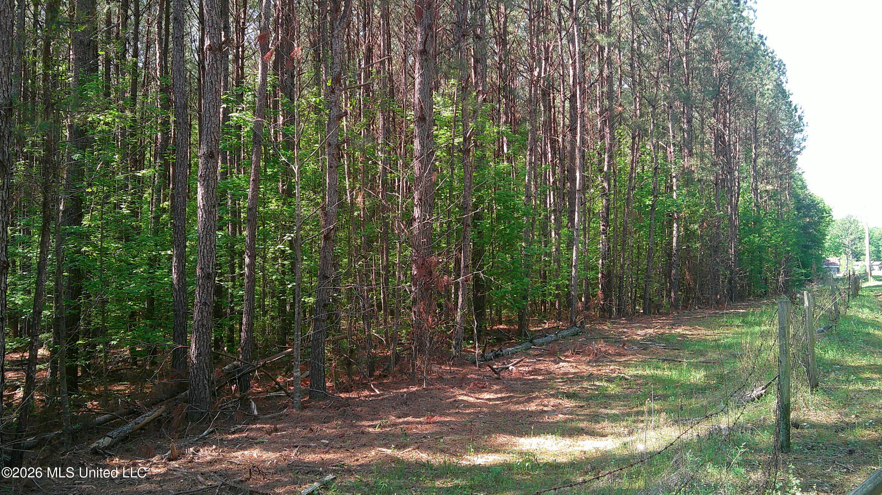 Pleasant Hills Road Gattman, MS 38844 - Photo 3 of 10 DSCF0298