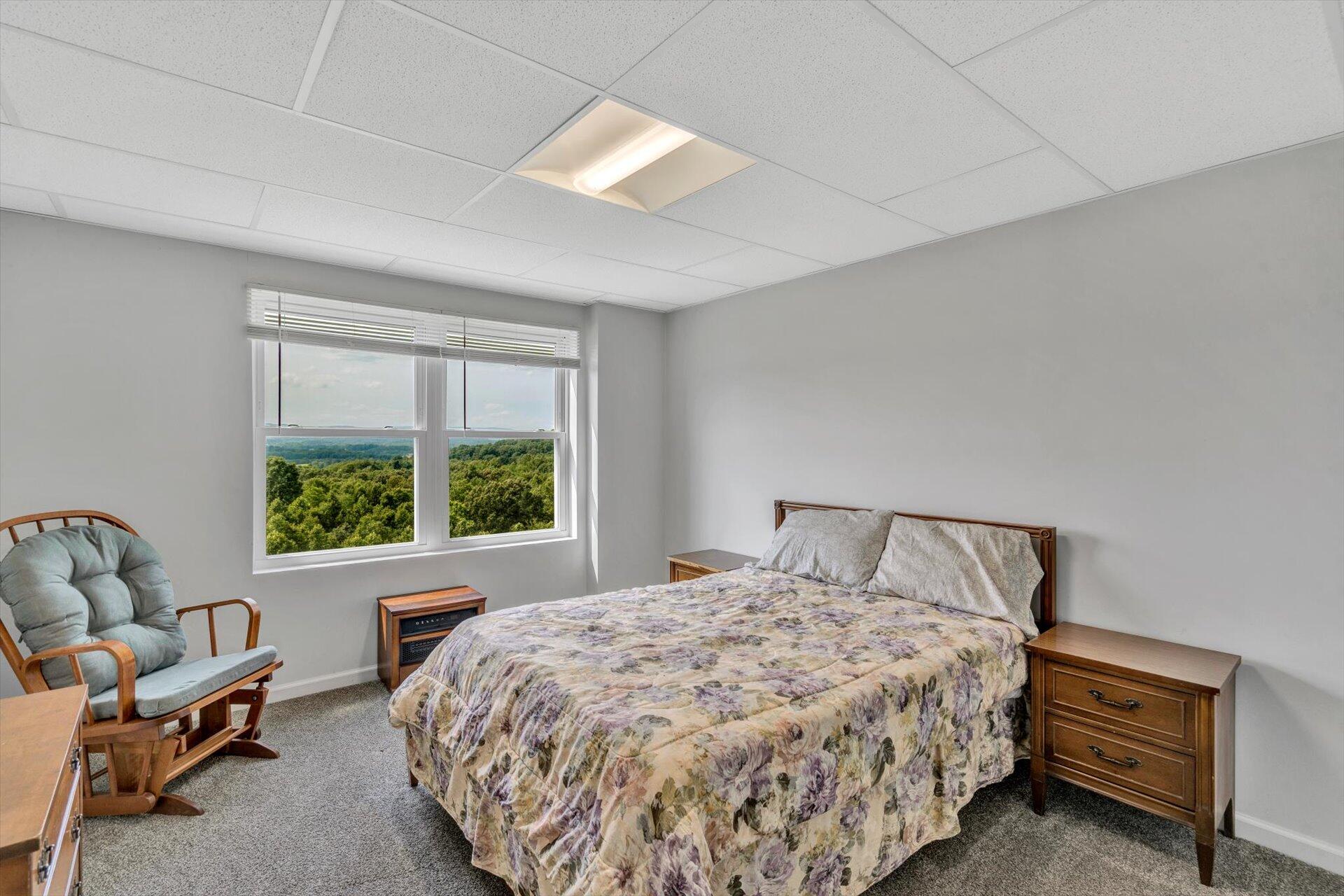 540 Longfield Road Fincastle, VA 24090 - Photo 40 of 59 40-061320230184