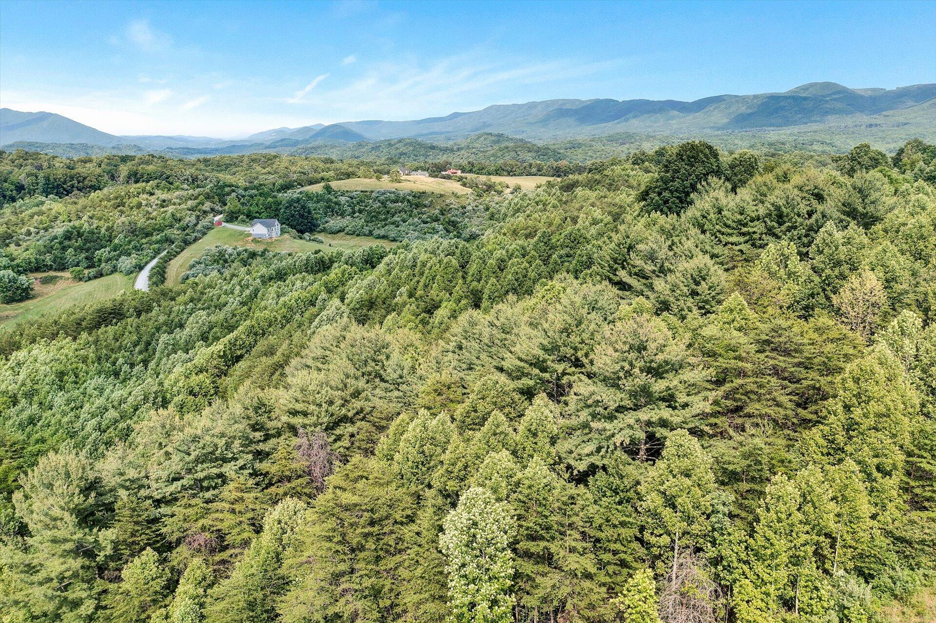 540 Longfield Road Fincastle, VA 24090 - Photo 55 of 59 55-061320230207