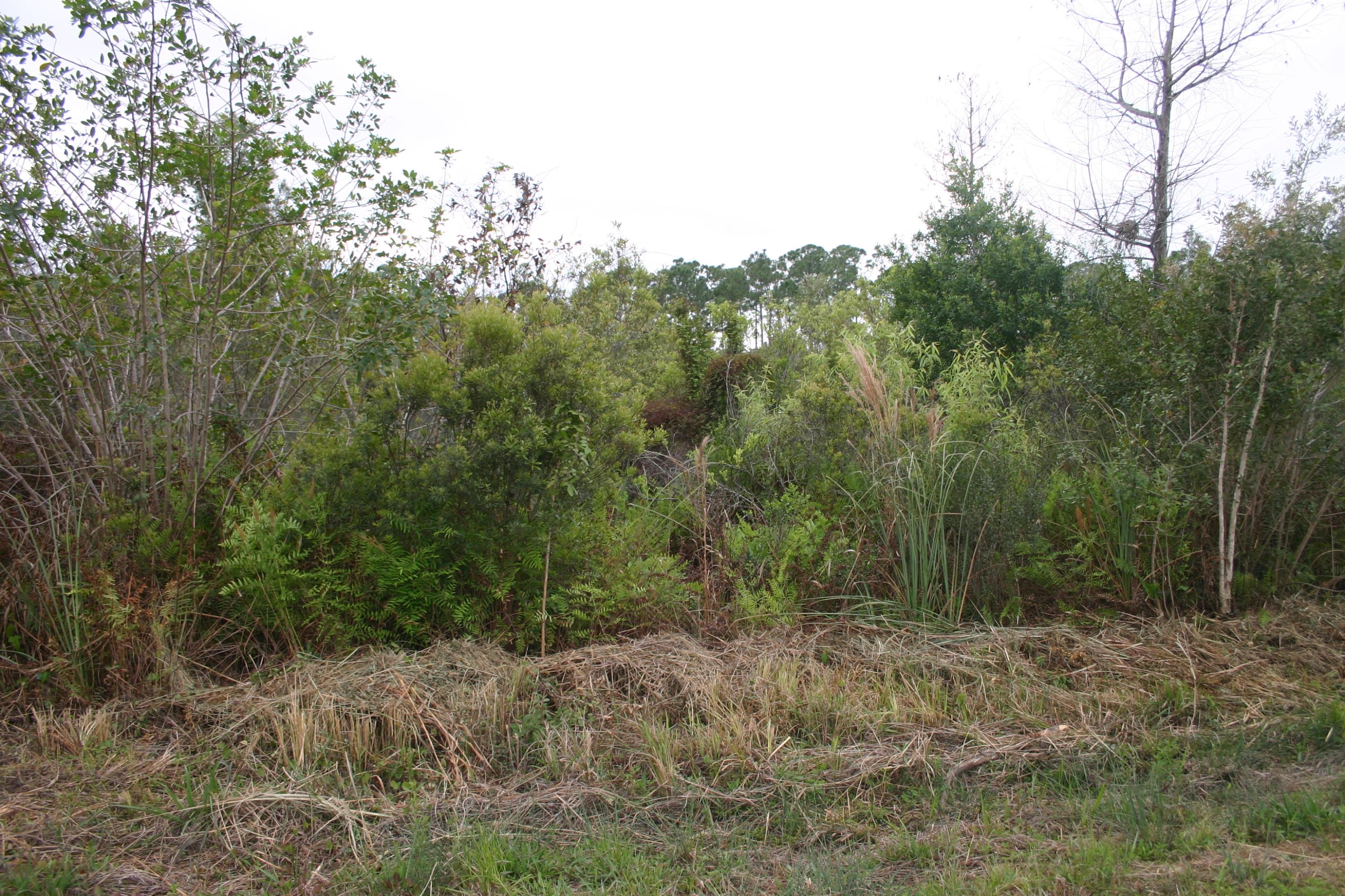 17472 93rd Road North Loxahatchee, FL 33470 - Photo 1 of 3 IMG_8878