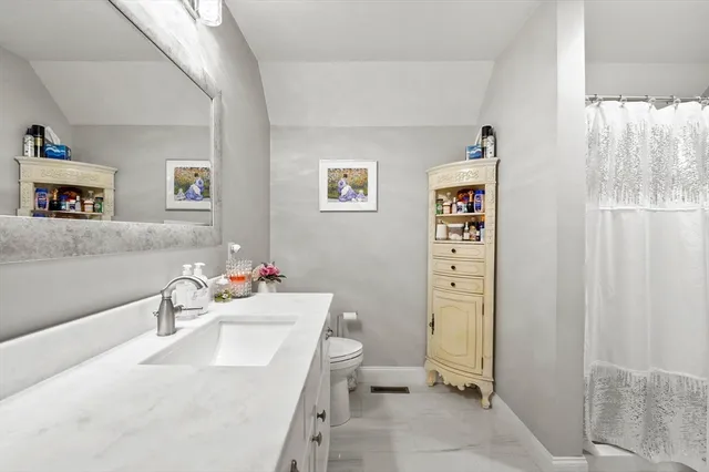 a bathroom with a sink a toilet and a shower