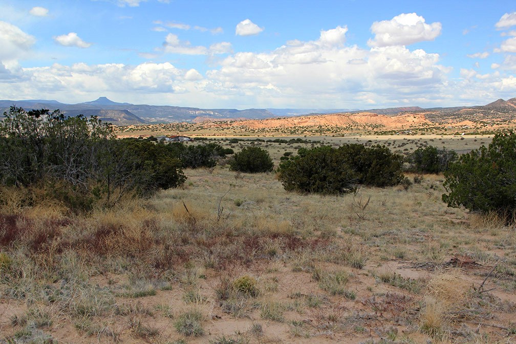 11.5 Pinon Road Abiquiu, NM 87510 - Photo 9 of 12
