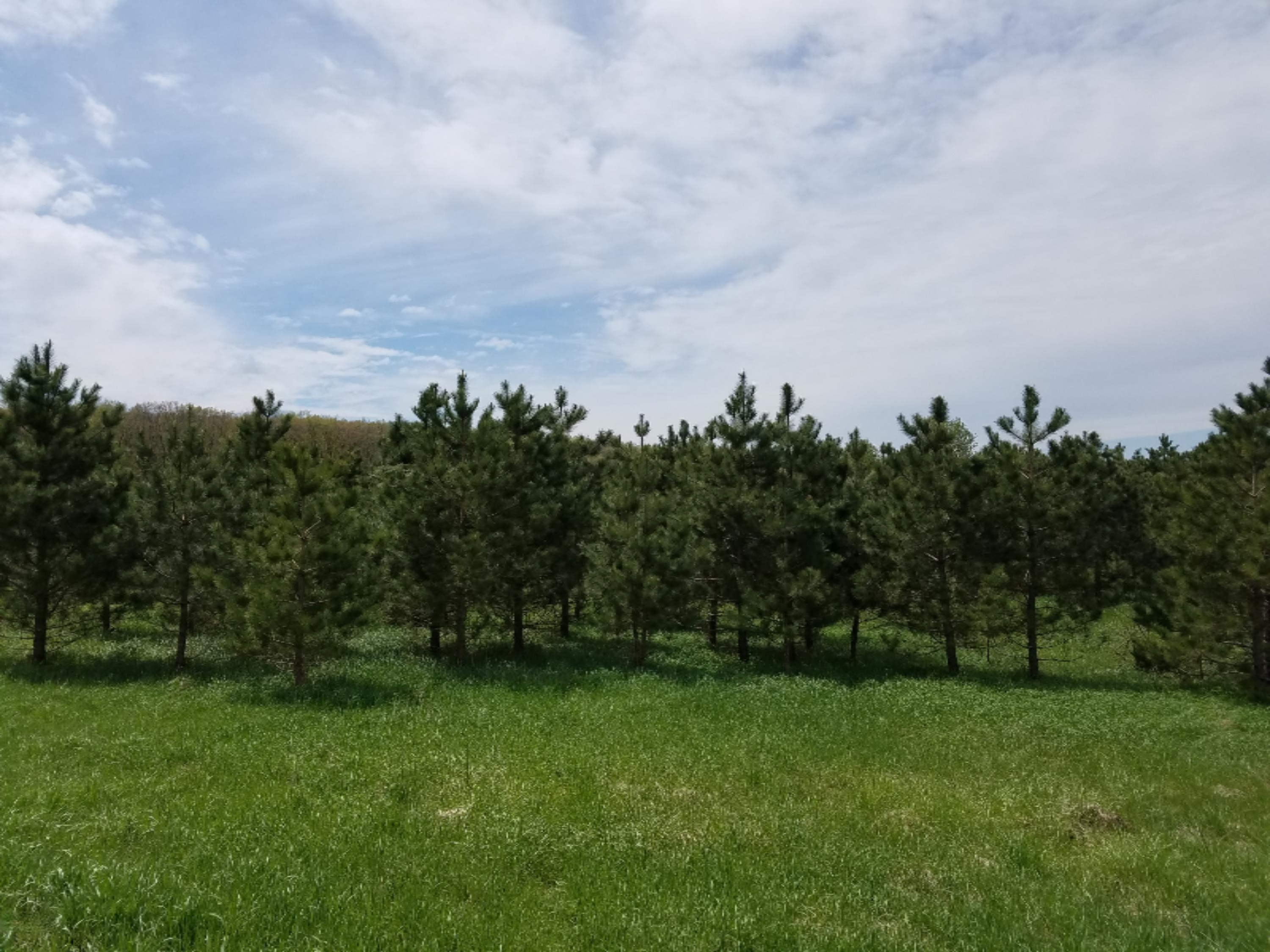 20170505_131556