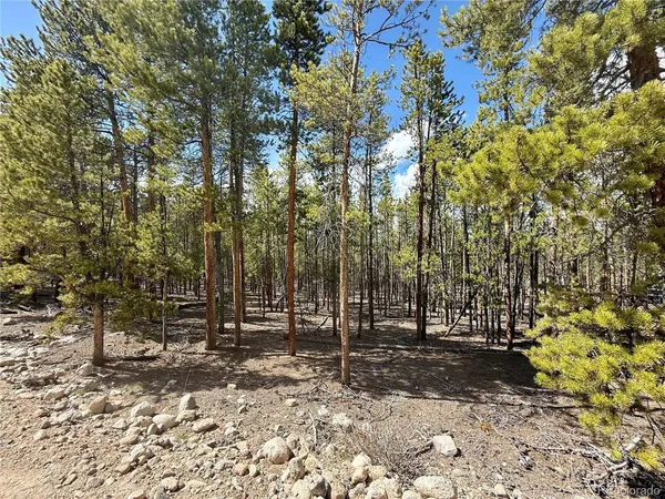 a view of outdoor space with lots of trees