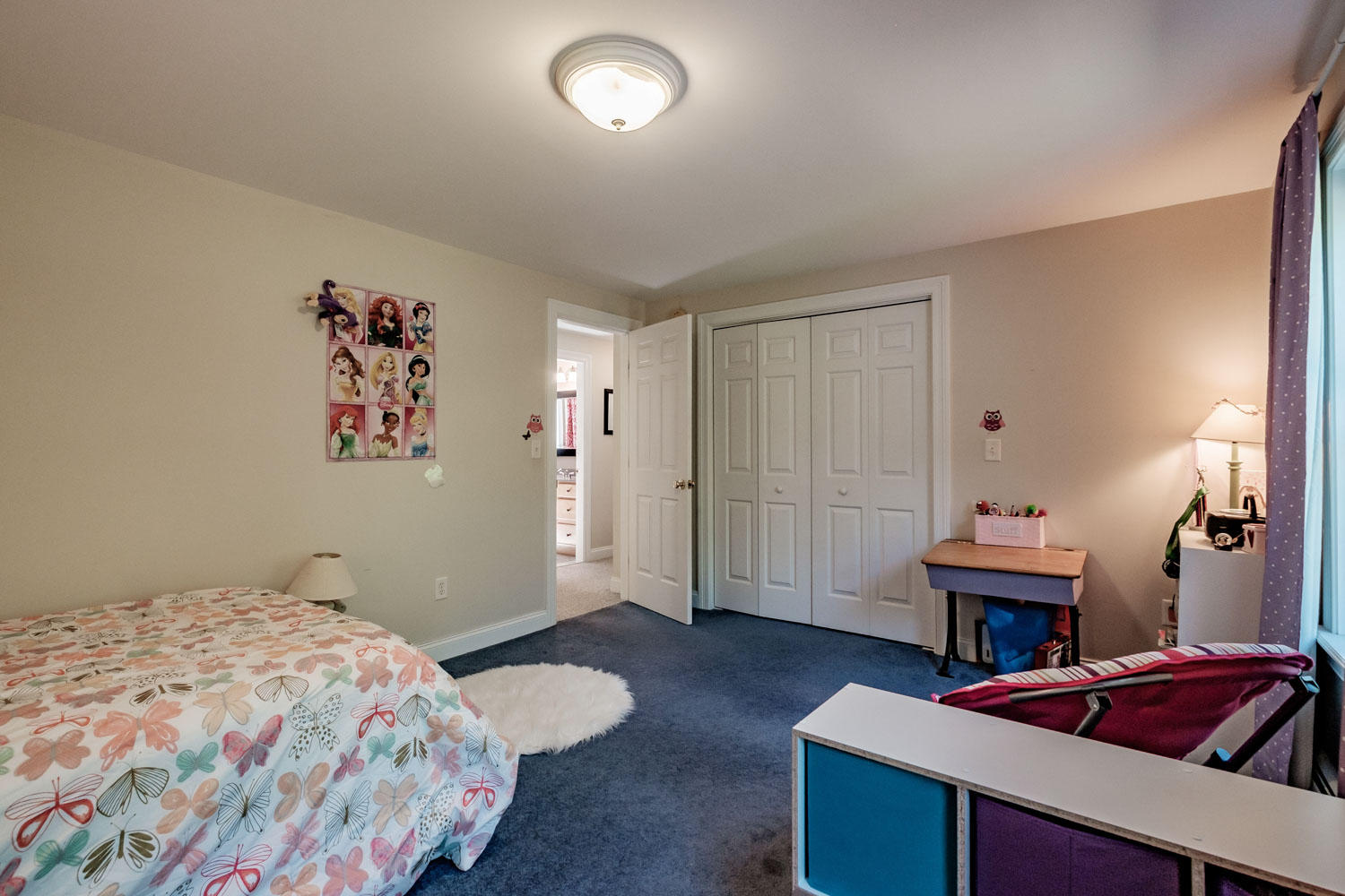 42 Shortill Farms Road Buxton, ME 04093 - Photo 32 of 43 20190816gp-60048