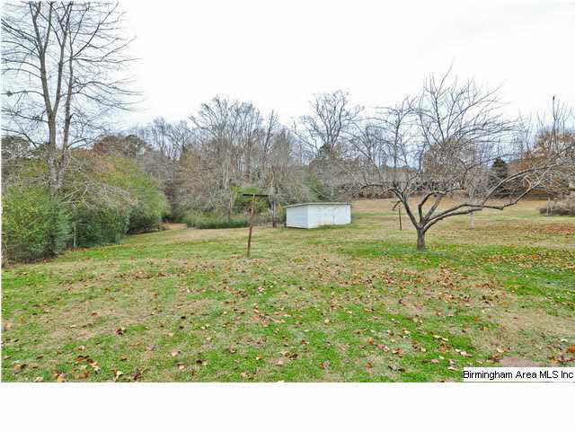 4941 Highway 11 Springville, AL 35146 - Photo 24 of 25