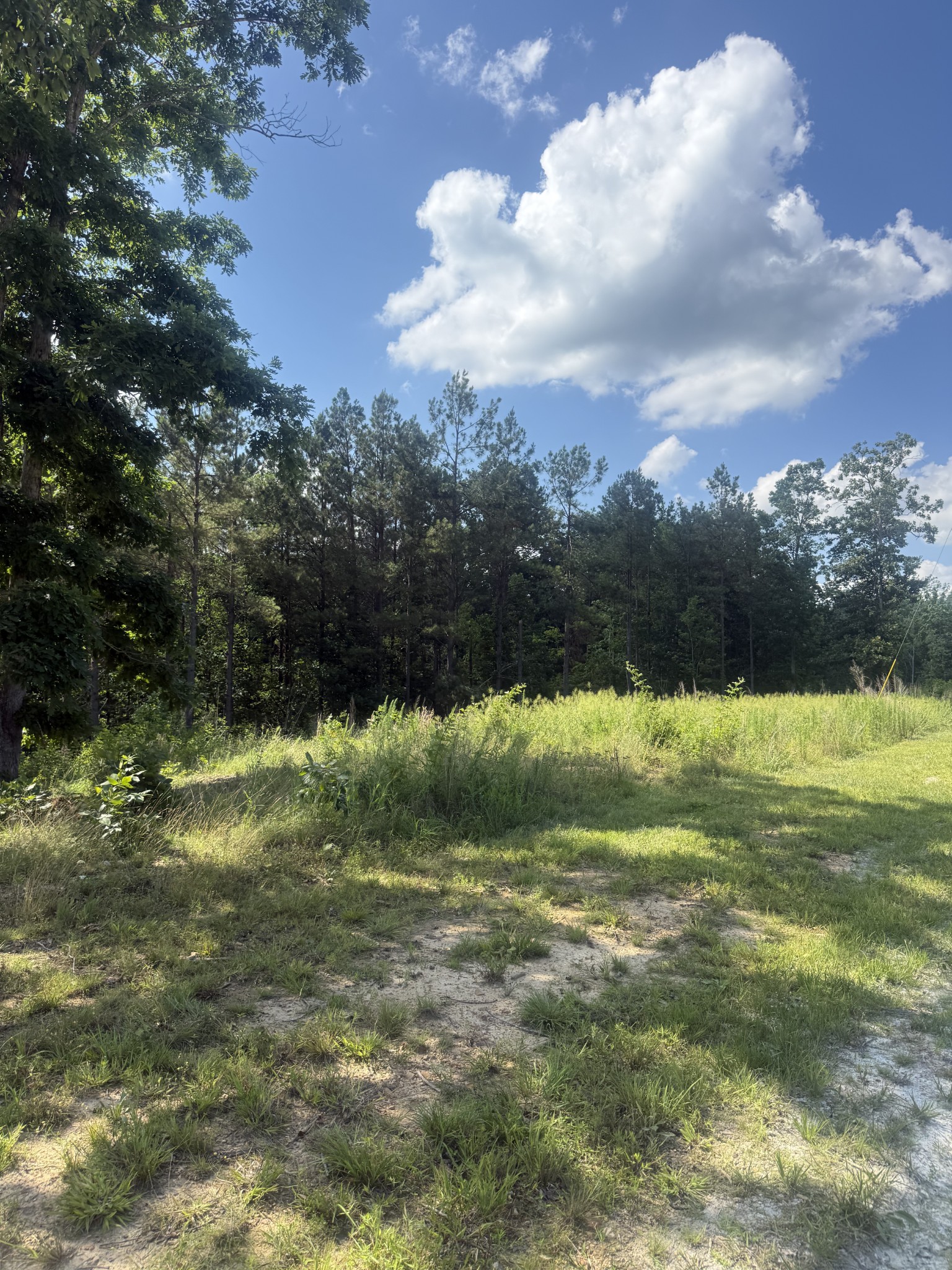 251 Fox Rdg Drive Linden, TN 37096 - Photo 15 of 18