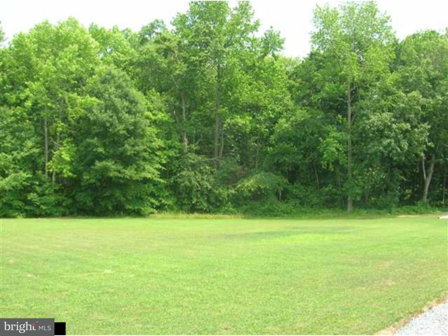 196 Sandwash Road Bridgeton, NJ 08302 - Photo 10 of 12