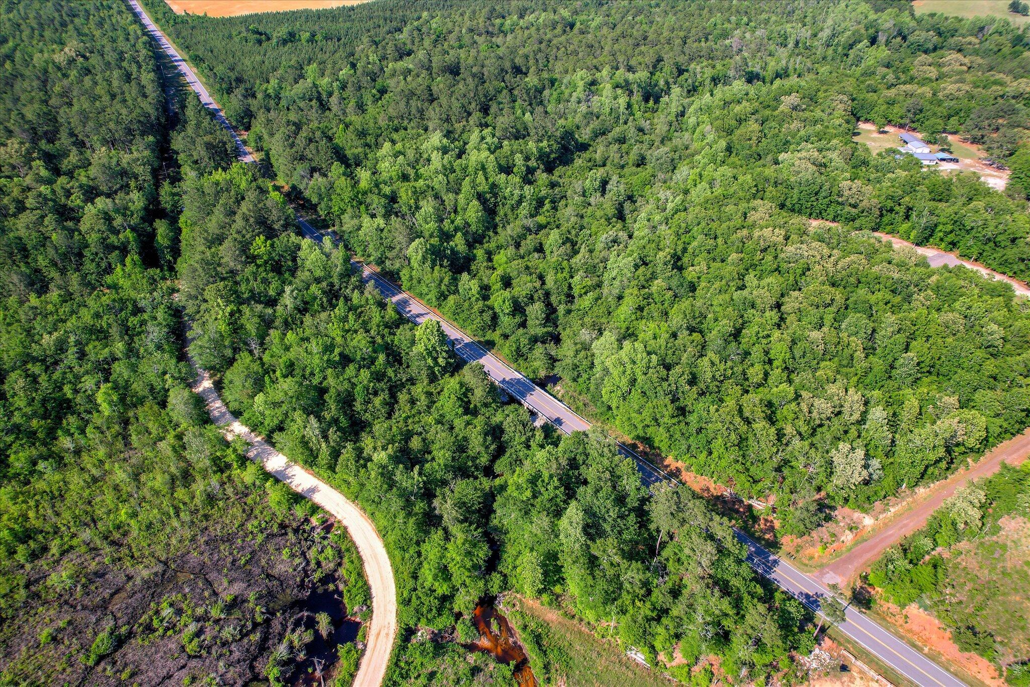 0 Davis Bridge Road Williston, SC 29853 - Photo 7 of 21