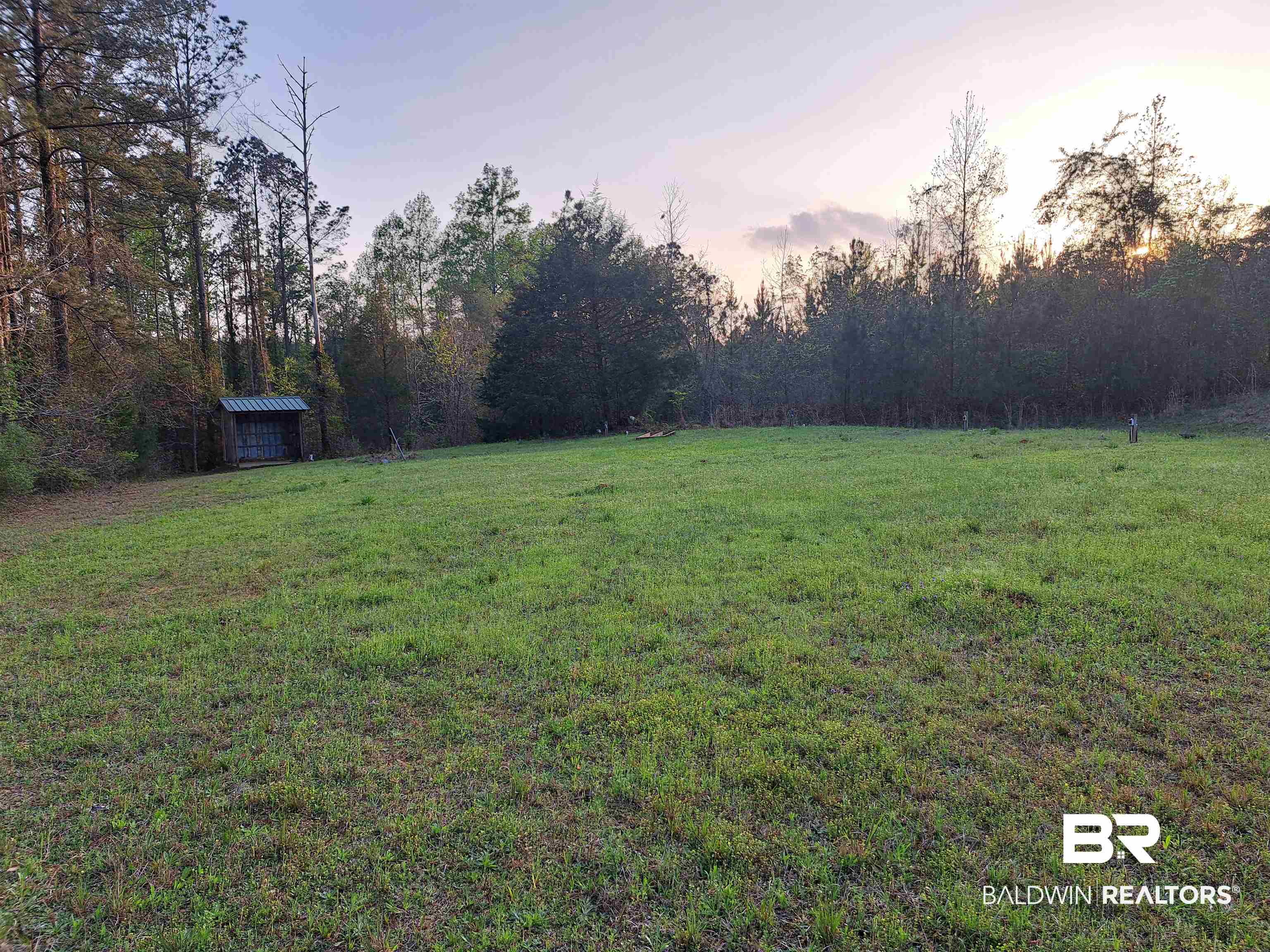 2777 Highway 83 Evergreen, AL 36401 - Photo 12 of 14 Yard at dusk featuring a yard